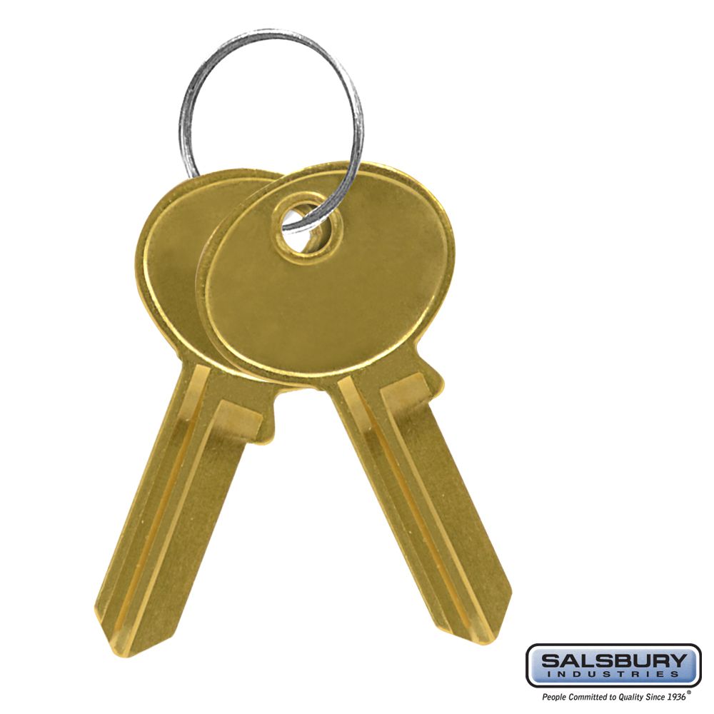Key Blanks - for Standard Locks of Cell Phone Storage Lockers